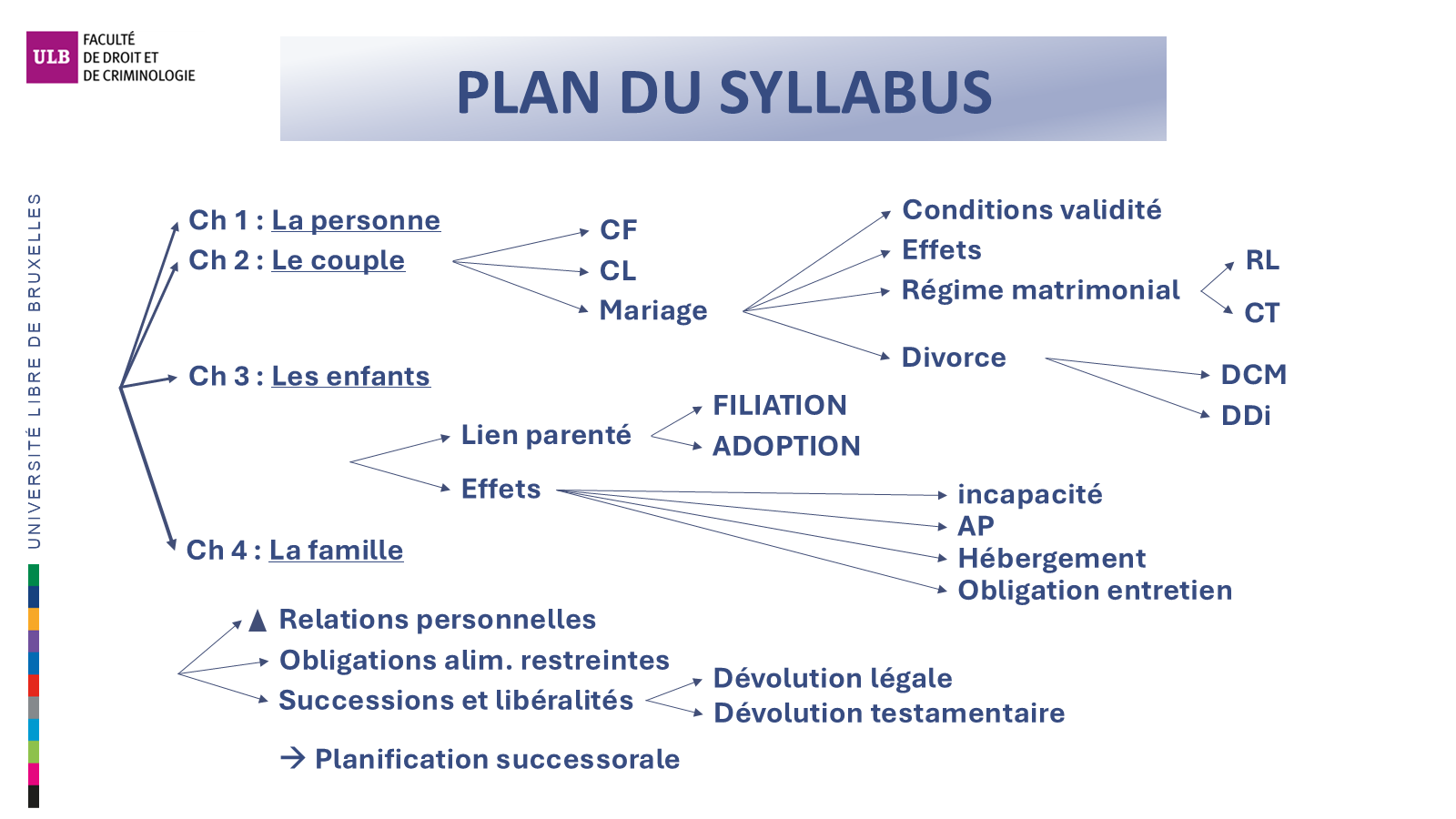 Plan du droit des personnes et de la famille